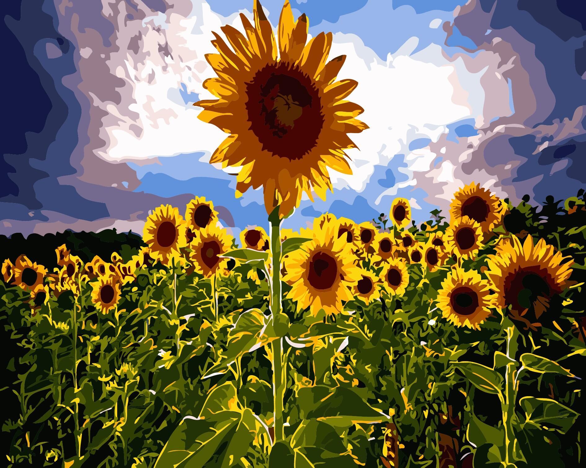 

Nature Sunflowers – Paint By Numbers - 40*50CM, 501 Original