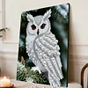 DIY Pearl Painting Owl for Home Wall Decor with Frame(30x40cm)