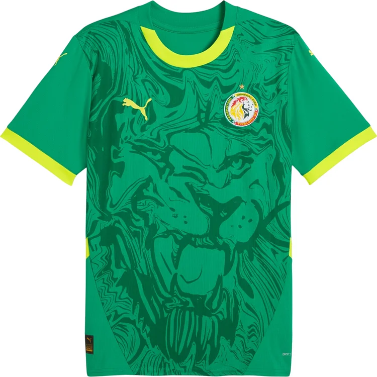 2025 Senegal Away Football Jersey