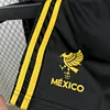 2025/2026 Mexico Special Edition Gold- Black Football Shirt Kids Size 1:1 Thai Quality