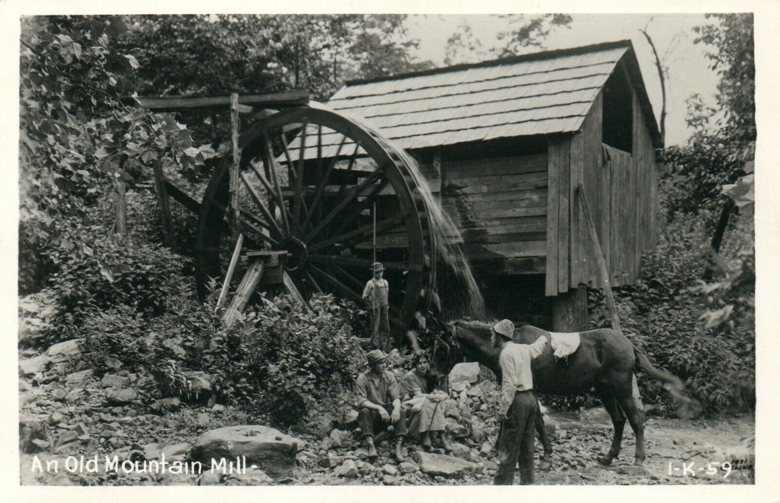 An Old Mountain Mill Horse Young Men and Woman Real Photo Poster painting RPPC Postcard