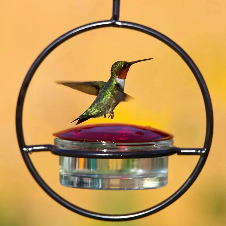 Sherem Hummble Slim Hummingbird Feeder