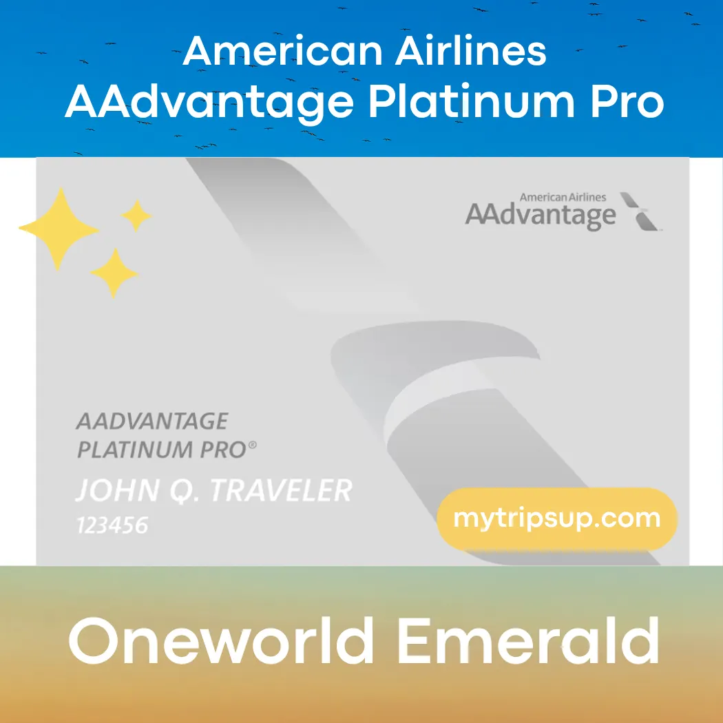 mytripsup AA Platinum Pro oneworld  Emerald Fast Track Upgrade, 120-Day Validity