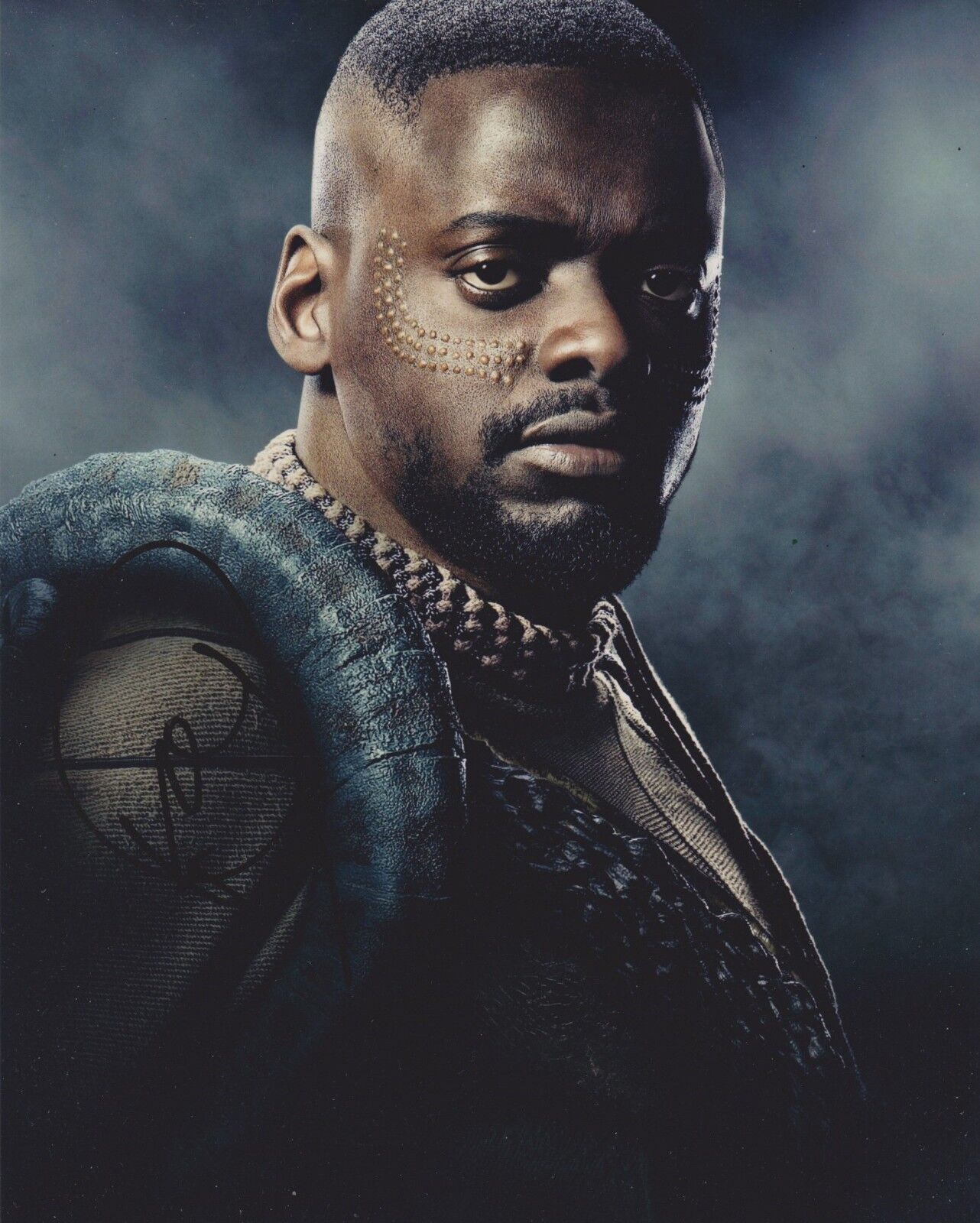 Daniel Kaluuya Signed Black Panther 10x8 Photo Poster painting AFTAL