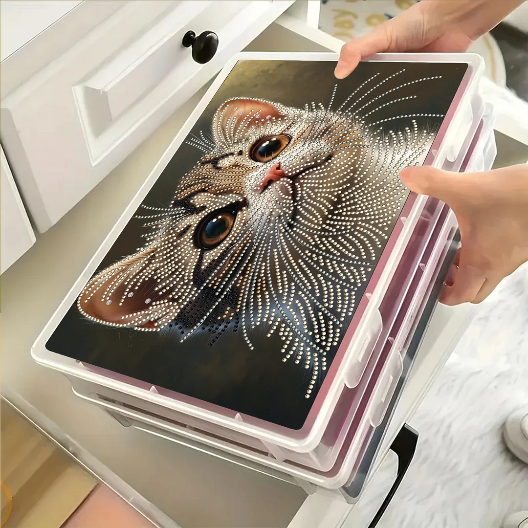 Cat 5D DIY Full Diamond Art Storage Box Crystal Mosaic Storage Container Kit