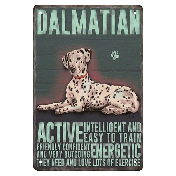 Dalmatian Dog - Vintage Tin Signs/Wooden Signs 8*12Inch/12*16Inch