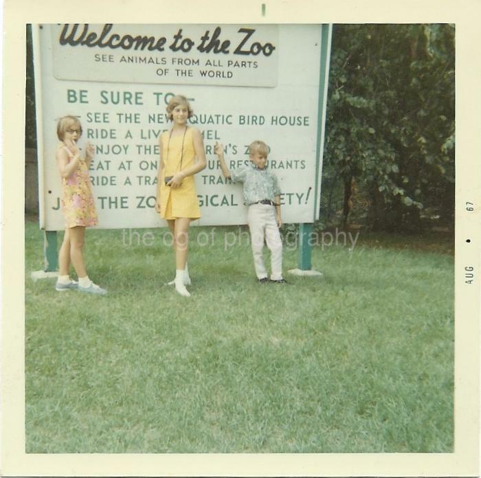 WELCOME TO THE ZOO 1960's Kids FOUND Photo Poster paintingGRAPH Color VINTAGE Children 05 11 U