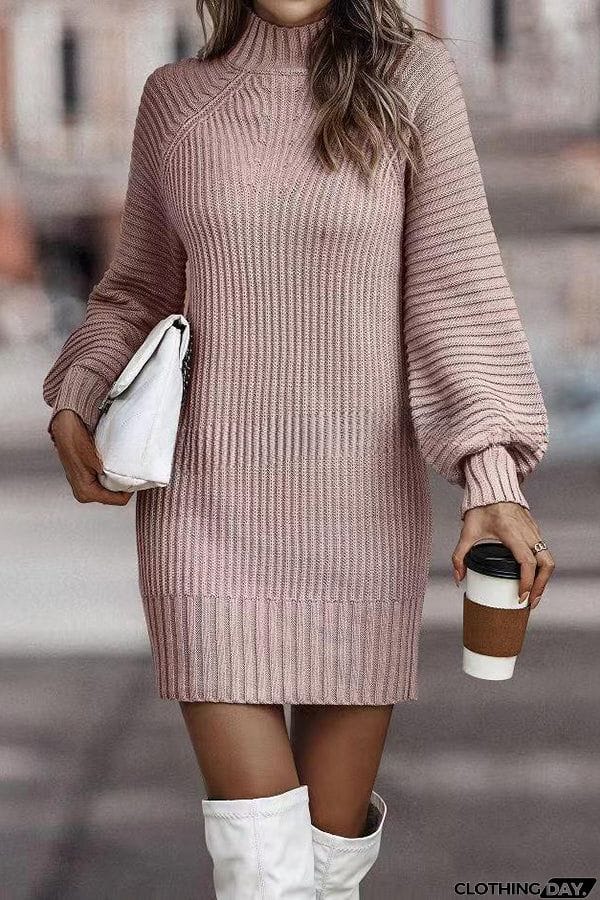 Rieuh Turtleneck Long Sleeve Knitted Mini Dress