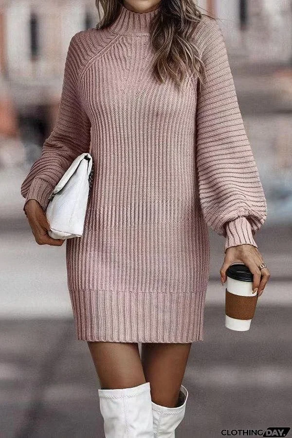 Rieuh Turtleneck Long Sleeve Knitted Mini Dress