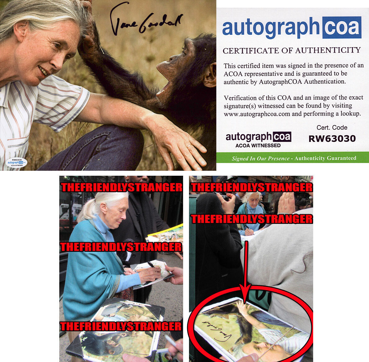 JANE GOODALL signed Autographed 8X10 Photo Poster painting A - EXACT PROOF - Chimpanzee ACOA COA