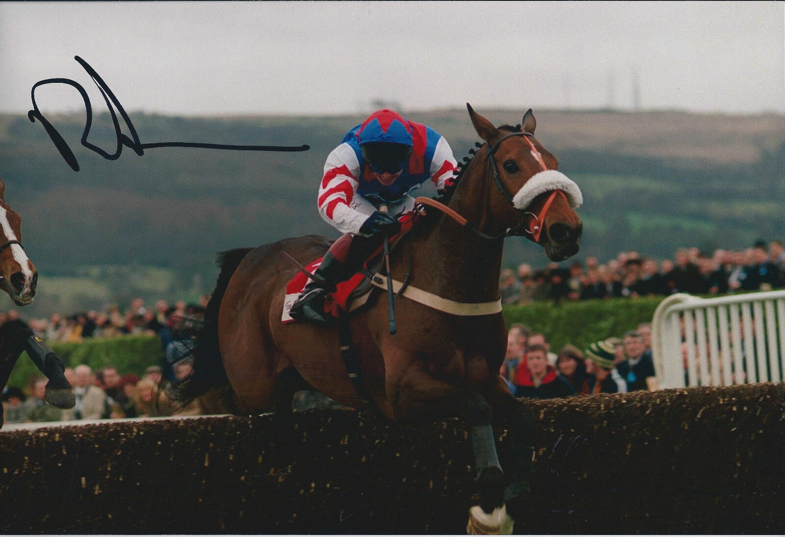 Richard JOHNSON SIGNED Jockey 12x8 Photo Poster painting AFTAL COA Autograph Champion Hurdle