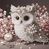 Bird Special Shaped 5D DIY Partial Drill Diamonds Dots Gem Art Kits for Adults Beginners Home Decor Diamonds Paintings Gem Art 11.81 X11.81inch