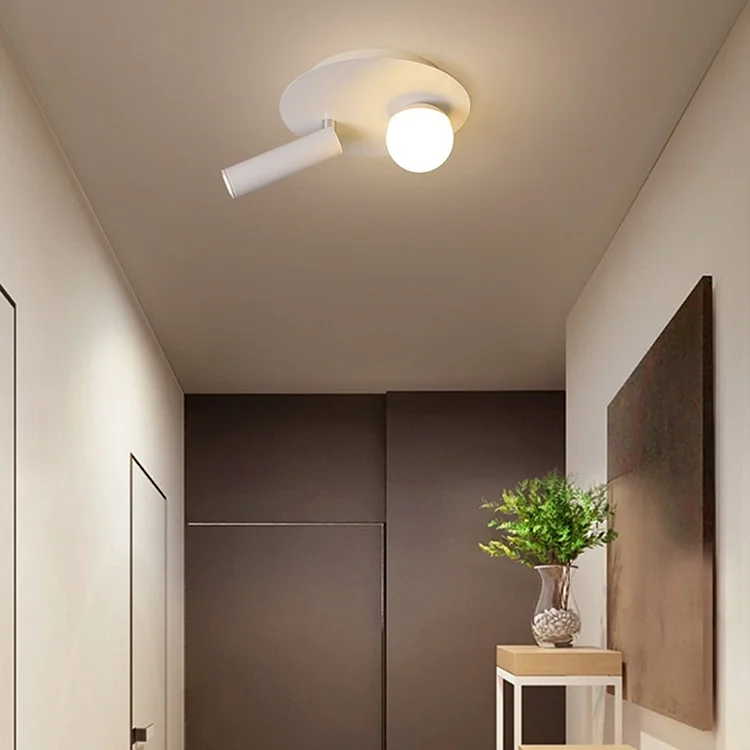 8'' Round Small Flush Mount Light with LED Bulb and Spotlight - Appledas