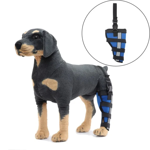 Best Dog Knee Brace for Torn ACL