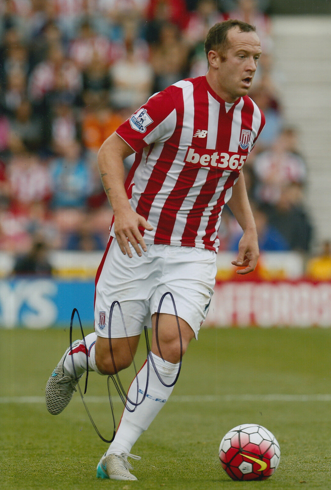 STOKE CITY HAND SIGNED CHARLIE ADAM 12X8 Photo Poster painting.