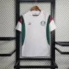 2023/2024 Palmeiras Training Wear Jersey 1:1 Thai Quality