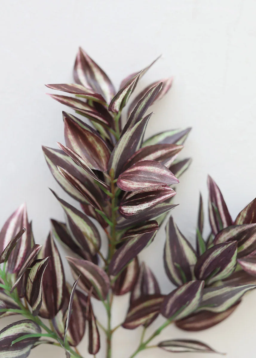 Mini Wandering Jew Pick - 11"