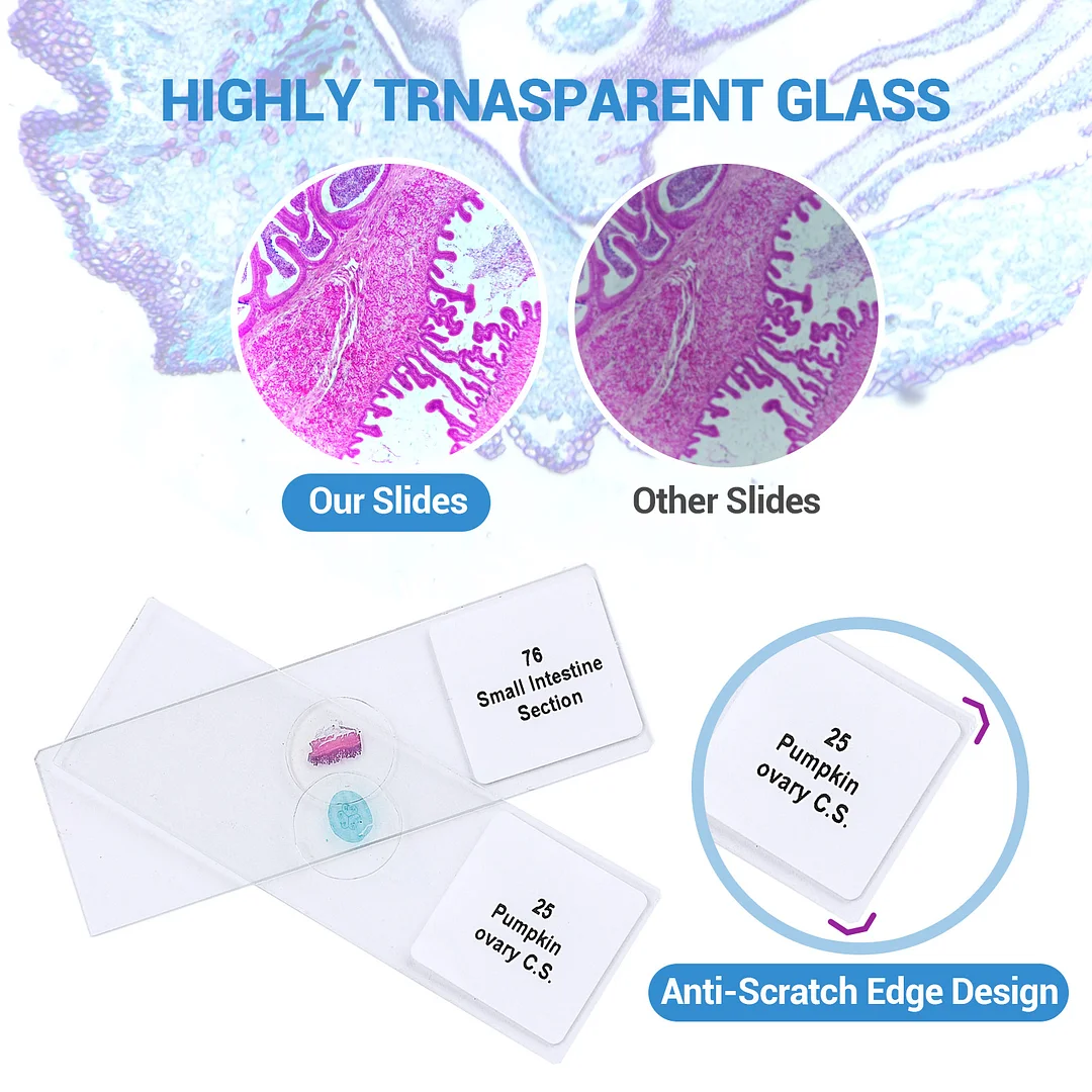 BEBANG 120Pcs Prepared Microscope Slides for Kids, Glass Microscope Slides with Specimens of Insect Plant Animal Bacteria Human Tissue Cell