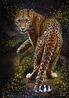 Best lowest diamond painting - Coodeals diamond painting