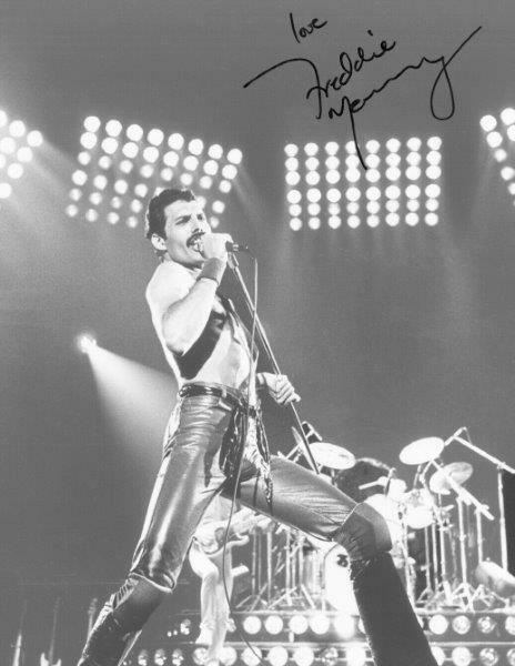 REPRINT - FREDDIE MERCURY Live Aid Queen Autographed Signed 8 x 10 Photo Poster painting Poster