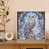 DIY Partial Special Shaped Drill Diamond Painting-Owl