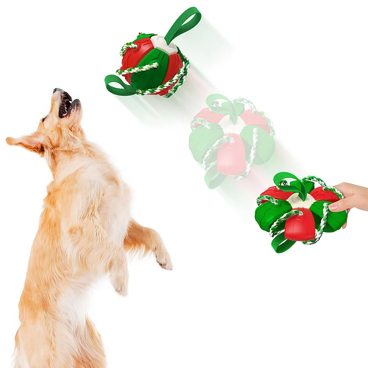 Multifunctional Outdoor Entertainment Dog Toys