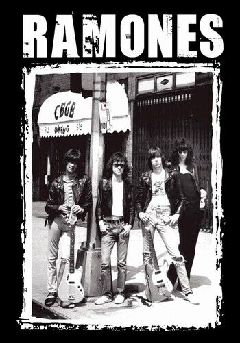 RAMONES POSTER - BAND PROMO - Photo Poster painting QUALITY INSERT  POST!