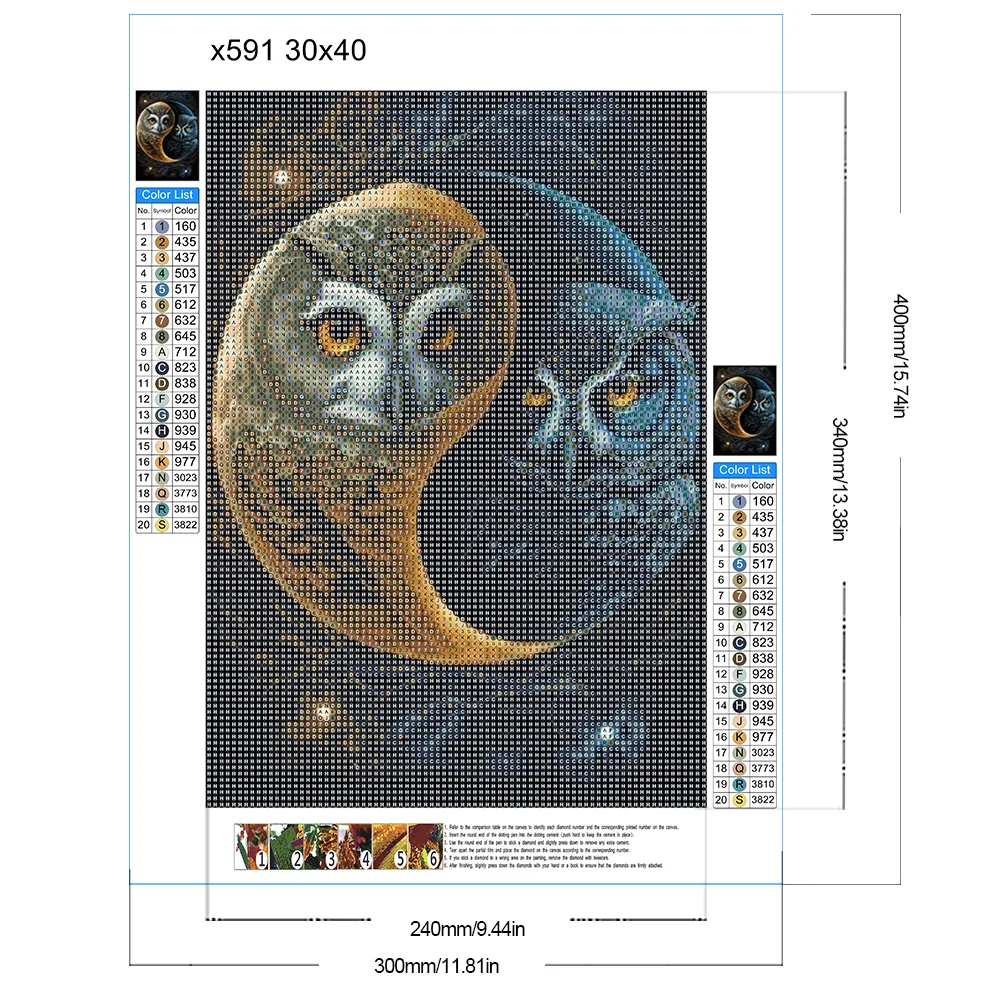 Full Round Diamond Painting 30*40cm - Yin Yang Eagle