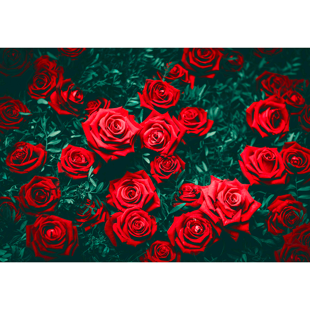 

Red Rose - 1000 Pieces Jigsaw Puzzle, 501 Original