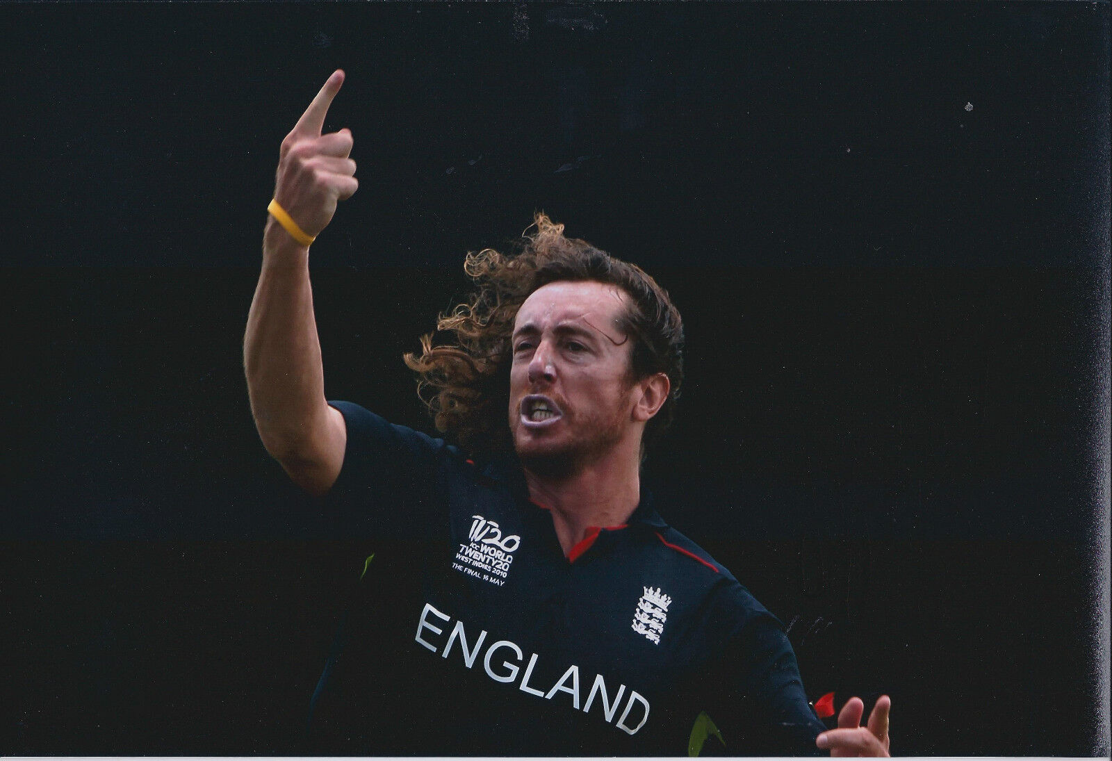 Ryan SIDEBOTTOM Signed Autograph 12x8 Photo Poster painting AFTAL COA England CRICKET Genuine