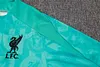 Joyfball 2024/2025 Liverpool Half-Pull Training Suit Lake Blue Jersey 1:1 Thai Quality Set