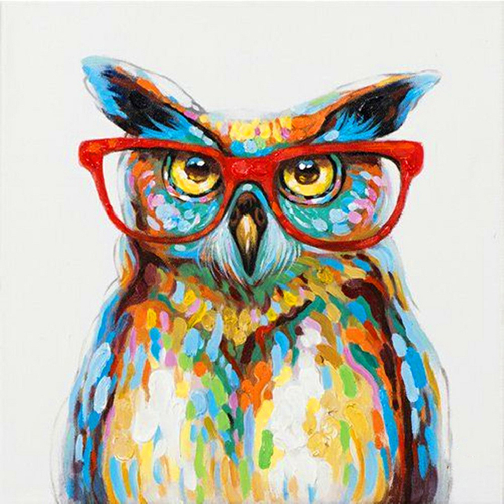 

Glasses Owl - Round Drill Diamond Painting - 30*30CM, 501 Original