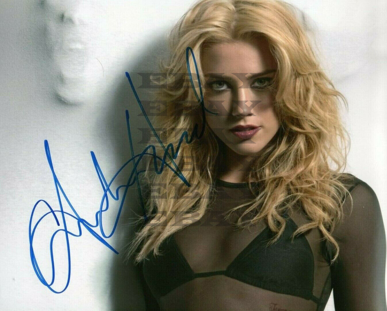 Amber Heard Autographed Signed 8x10 Photo Poster painting Rep