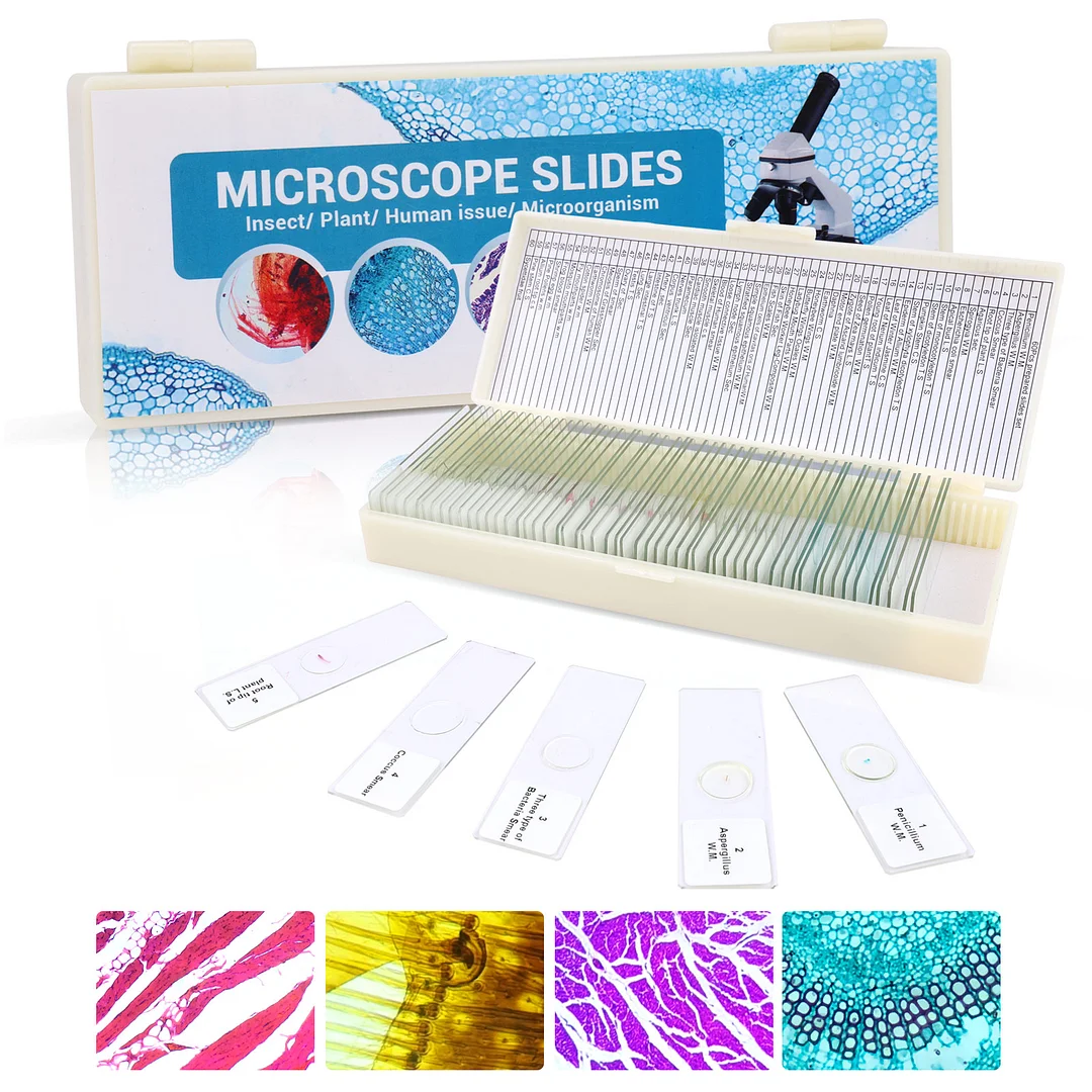 BEBANG 60 Microscope Slides with Specimens for Kids, Prepared Microscope Slides for Kids Microbiology, Prepared Microscope Slides for Adults