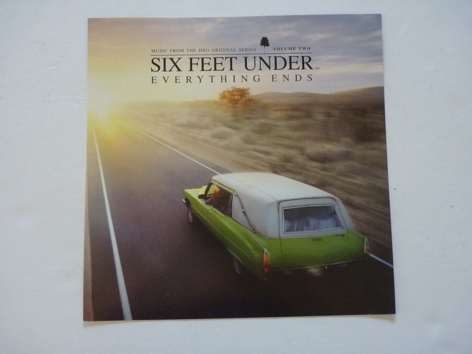 Six Feet Under Everything End HBO Coldplay Sia LP Record Photo Poster painting Flat 12X12 Poster