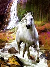 Horse | Full Round/square Diamond Painting Kits | 50x70cm