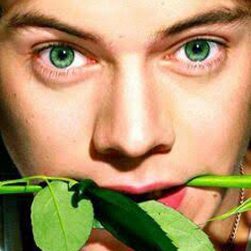 Men's green eye (12 months) contact lenses