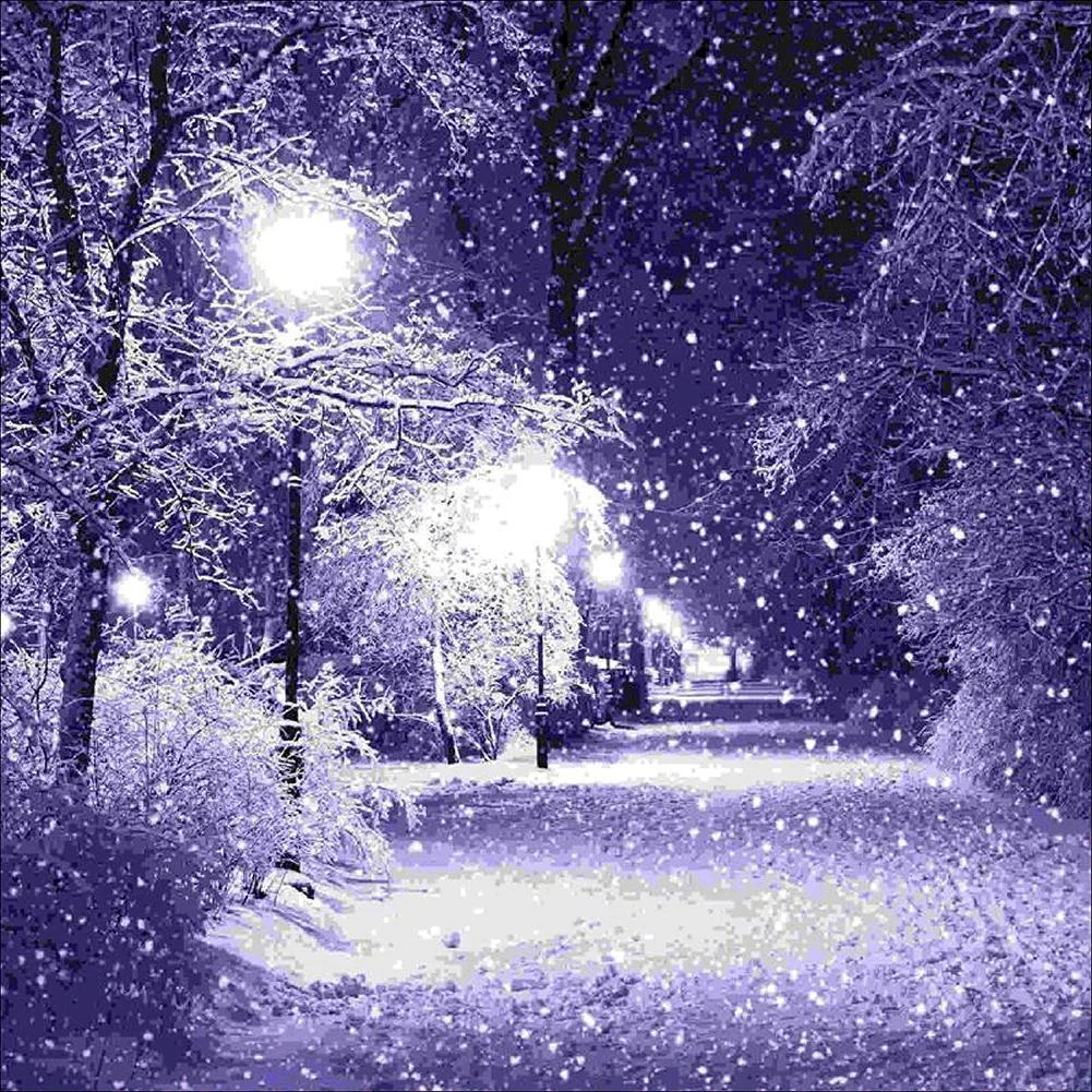 Diamond Painting - Full Round Drill - Purple Night(30*30cm)
