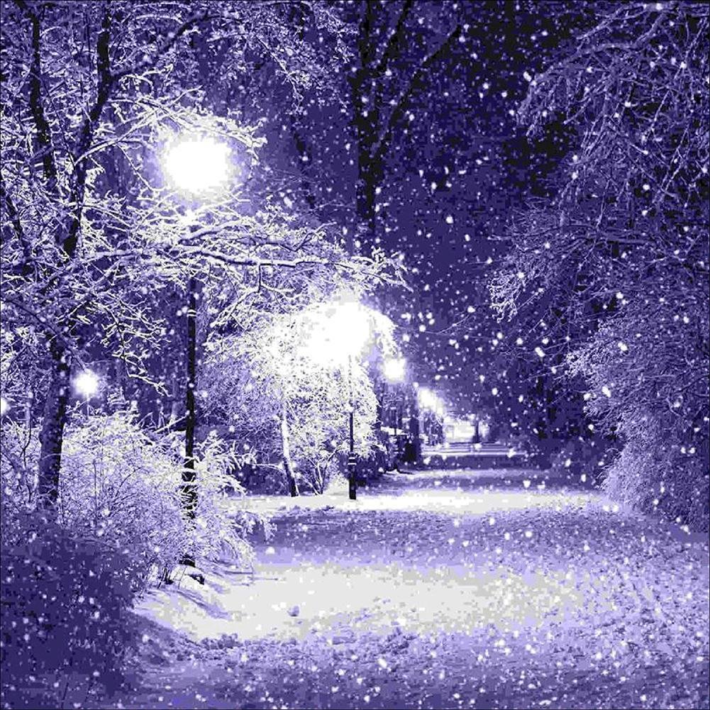 Diamond Painting - Full Round Drill - Purple Night(30*30cm)