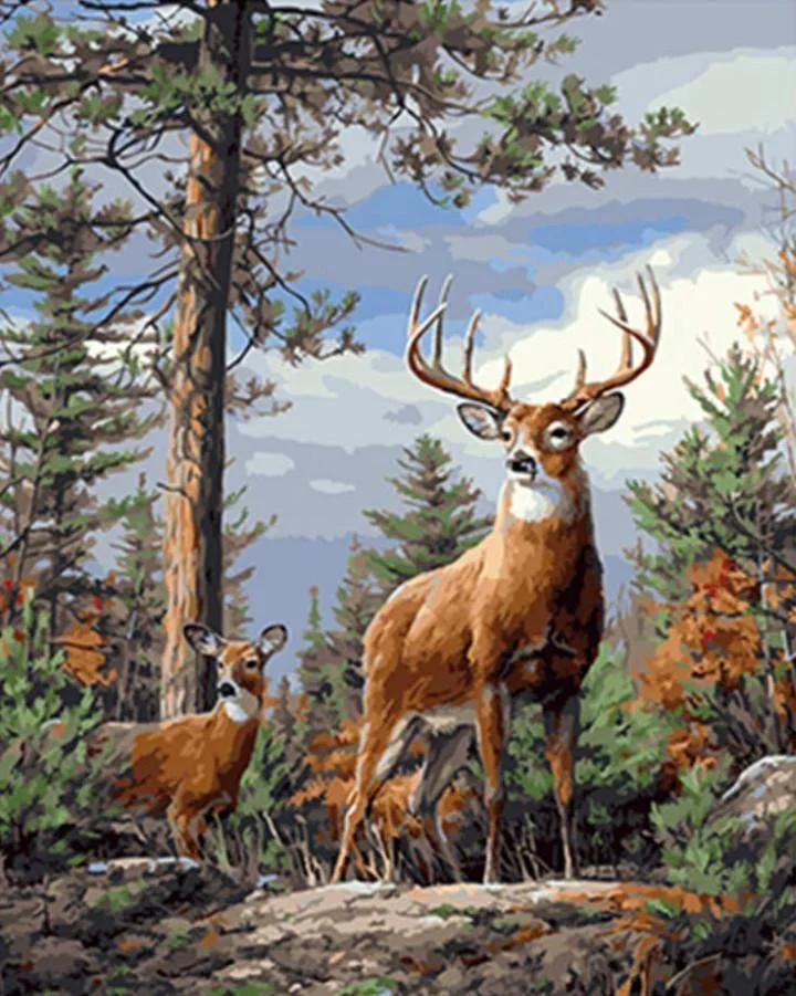 Animal Deer Paint By Numbers Kits UK For Adult HQD1362