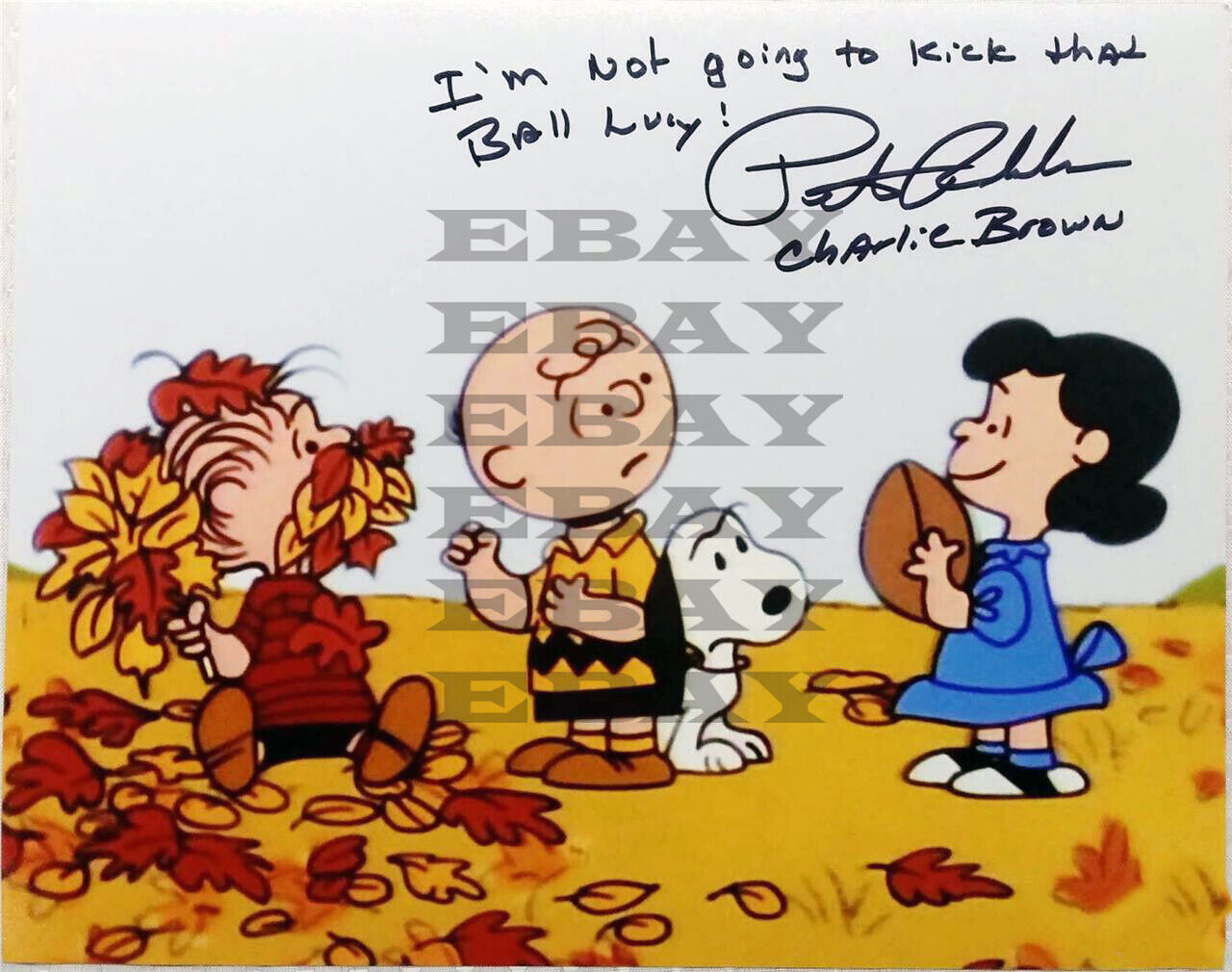 Peter Robbins Voice Of Charlie Brown Autographed Signed 8x10 Photo Poster painting Reprint