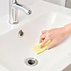 Citric Acid Descaling Sponge