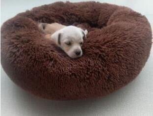 Colorful Ultra Soft Washable Comfy Claming Donut Pet Bed
