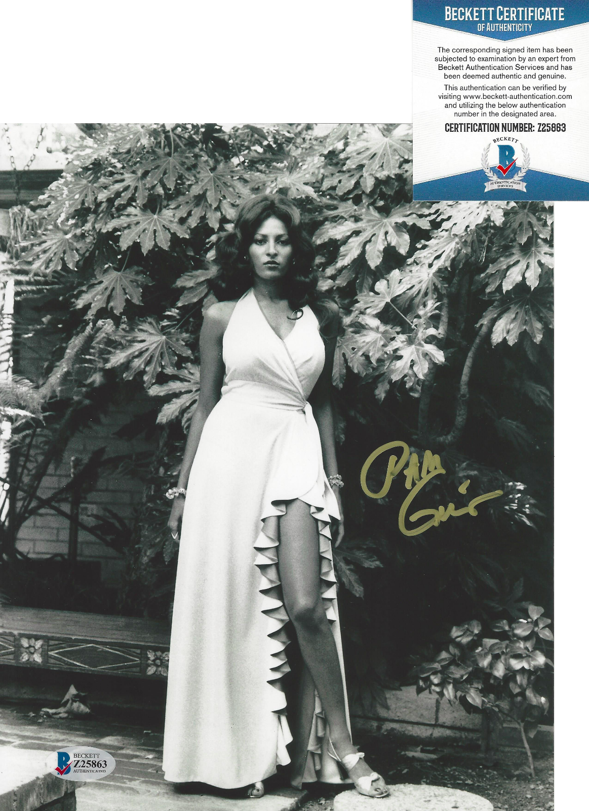 PAM GRIER SIGNED FOXY BROWN FASHION ICON 8x10 Photo Poster painting B PROOF BECKETT COA BAS