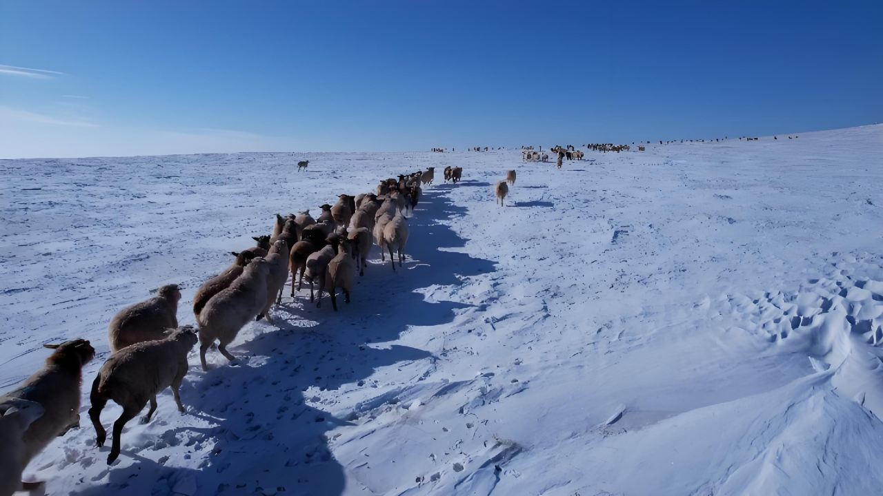 The Gobi Desert: Northern China's Majestic Desert Landscape