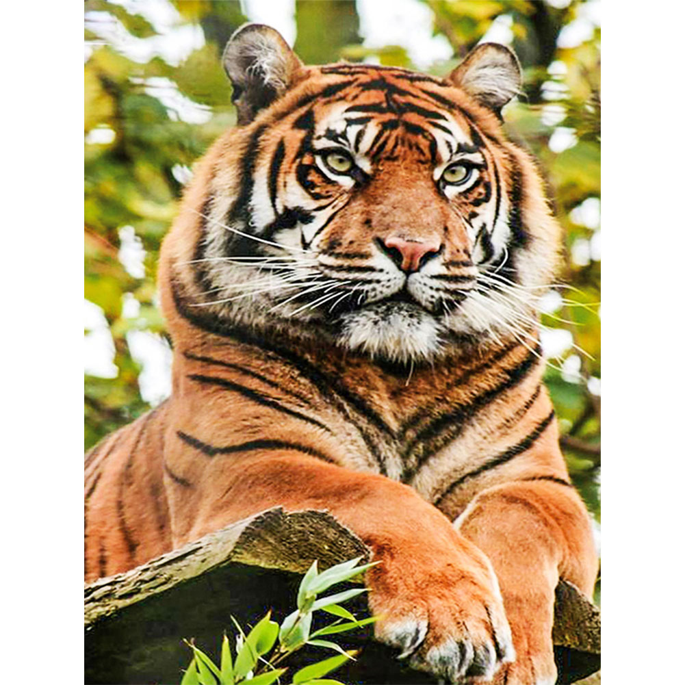 

Tiger - Round Drill Diamond Painting - 30*40CM, 501 Original