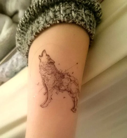 Waterproof Temporary Tattoo fox wolf wolves whale owl deer buck lion hawk tato flash tatoo fake tatto for girl women men