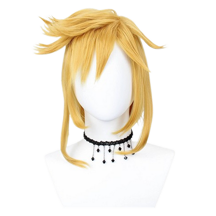 The Legend of Zelda Link Cosplay Wig Heat Resistant Synthetic Hair Carnival Halloween Party Props