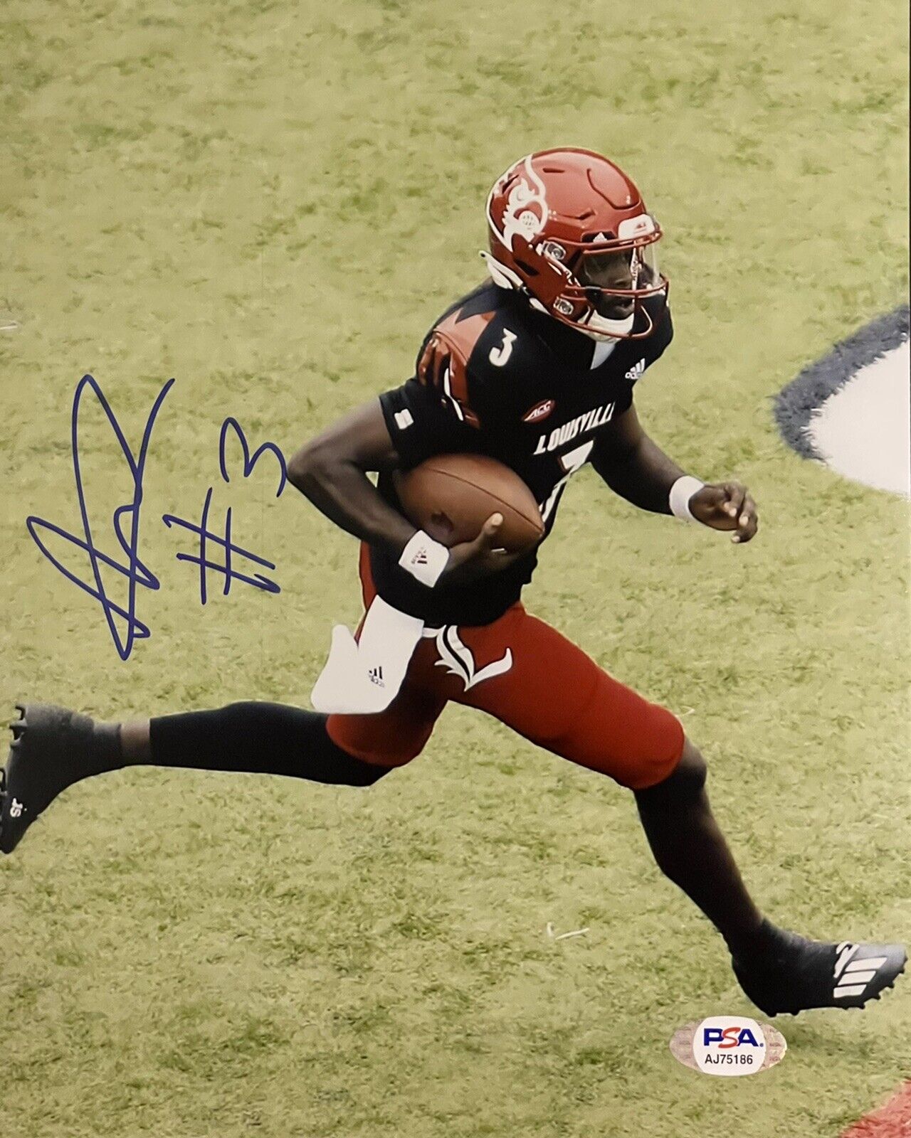 Malik Cunningham Signed Autographed Louisville Cardinals 8x10 Photo Poster painting PSA/DNA