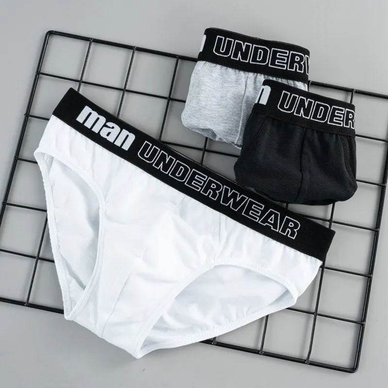 4pcs/Lot Men's Underwear Male Solid Briefs Underpants Comfortable Cotton Panties Mens Bikini Pant Men Sexy Letter Briefs